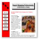 Expert Shopping Professionals Web Page Thumbnail